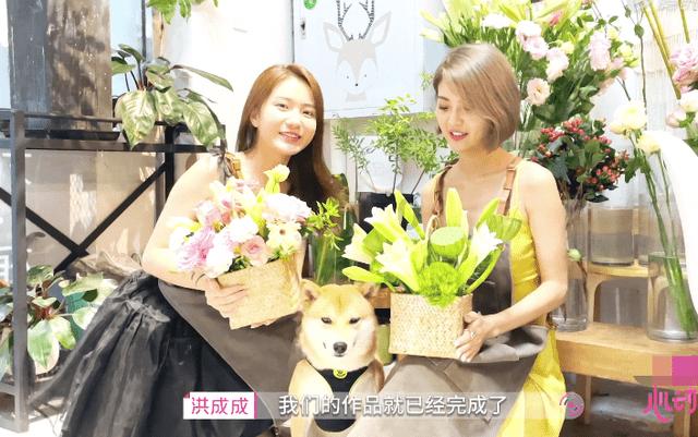 奇妙恐龙世界